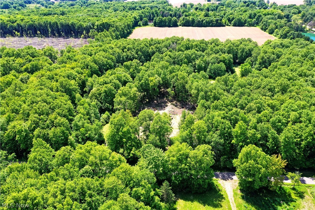 Mahan Denman Road Bristolville, OH 44402 - Photo 7 of 20