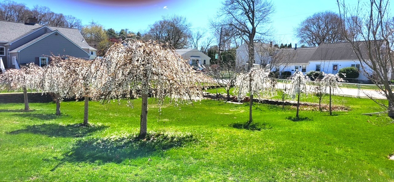 45 Phillips Street Woonsocket, RI 02895 - Photo 31 of 35