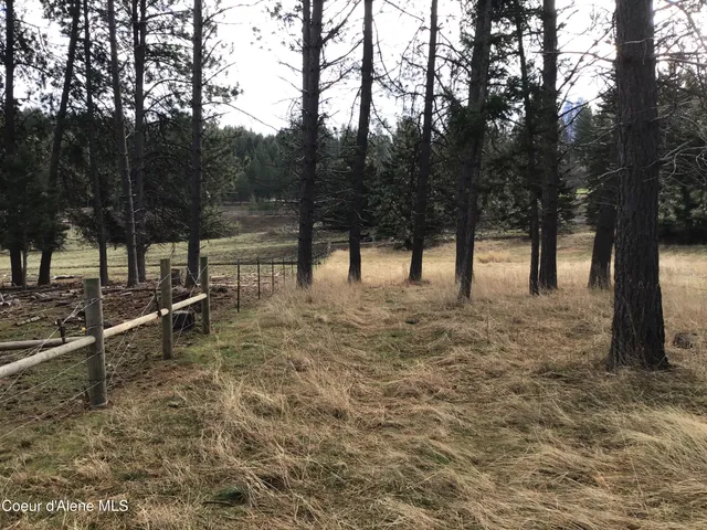 $196,500 | 97 Highway 97, St. Maries, ID 83861