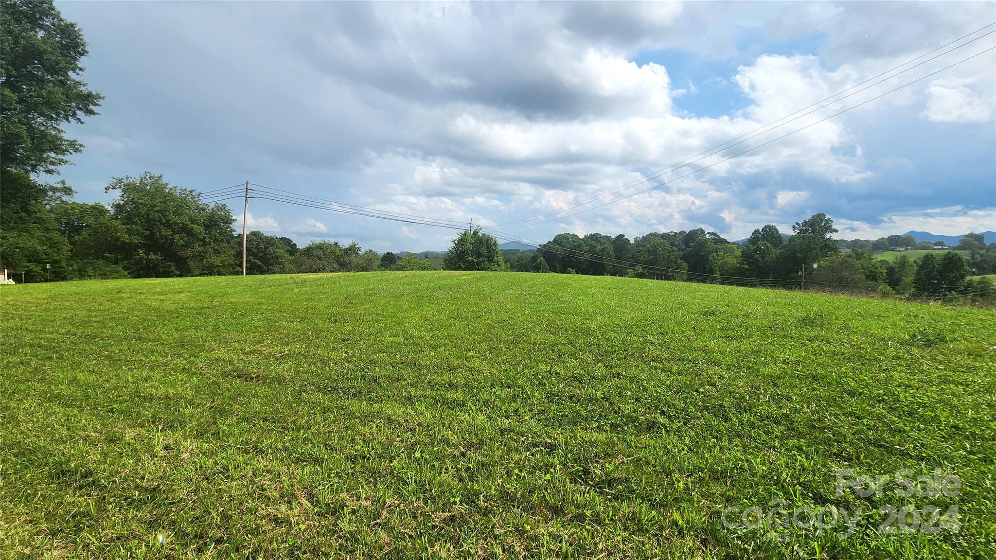9999 Alexander Road Leicester, NC 28748 - Photo 2 of 7 a view of a big yard with plants and large trees
