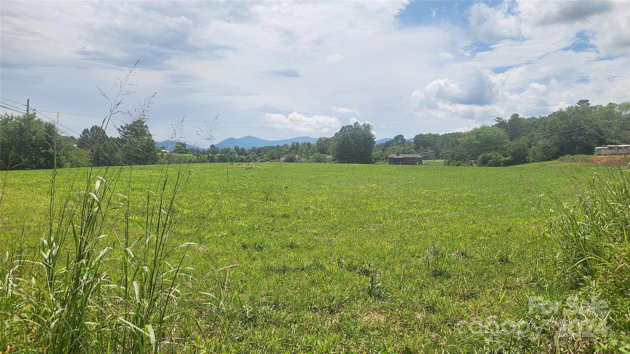 9999 Alexander Road Leicester, NC 28748 - Photo 4 of 7 a view of an ocean from a yard