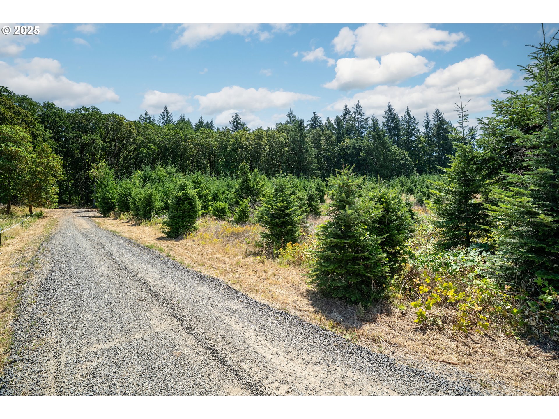 31795 Northeast Wilsonville Road Newberg, OR 97132 - Photo 7 of 26
