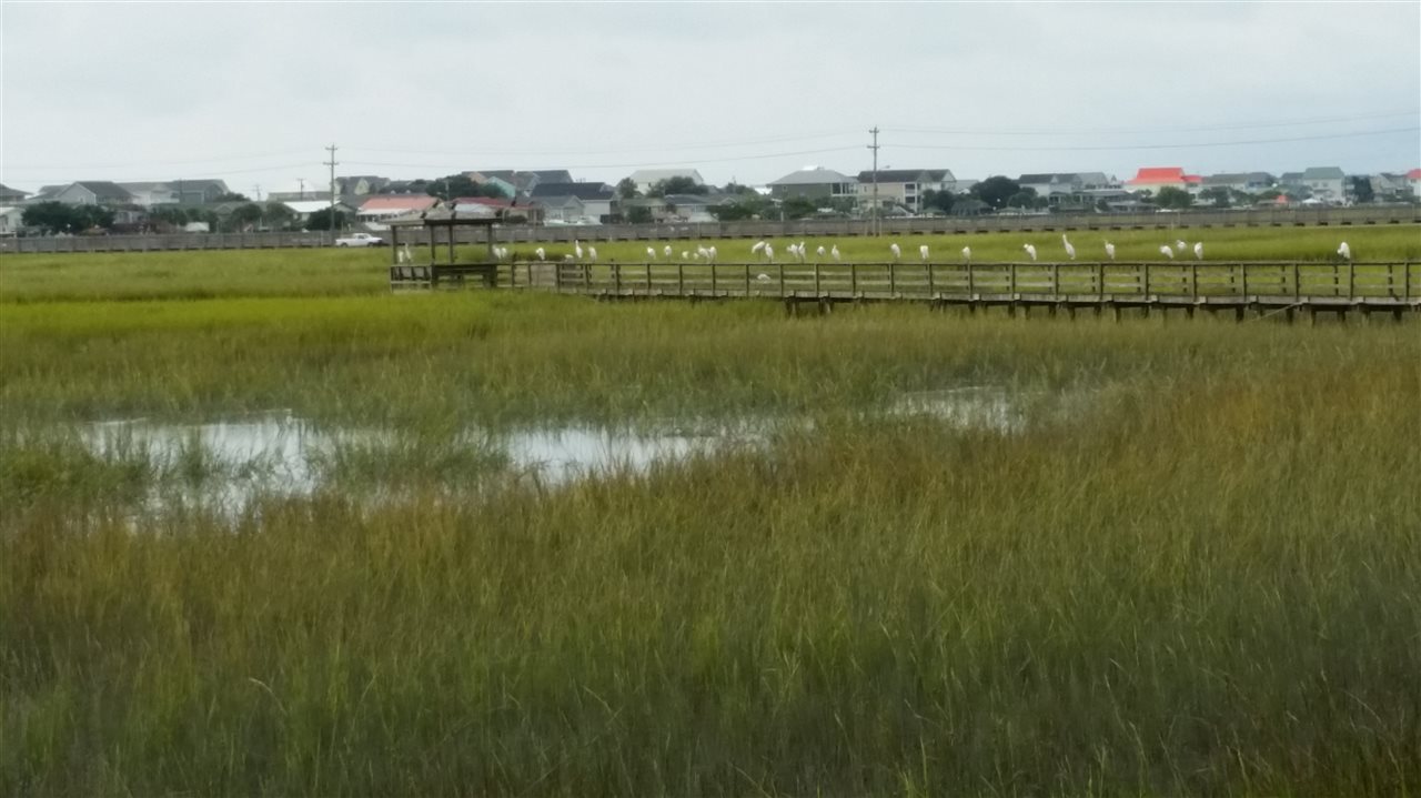 534 Waverly Loop Murrells Inlet, SC 29576 - Photo 7 of 11