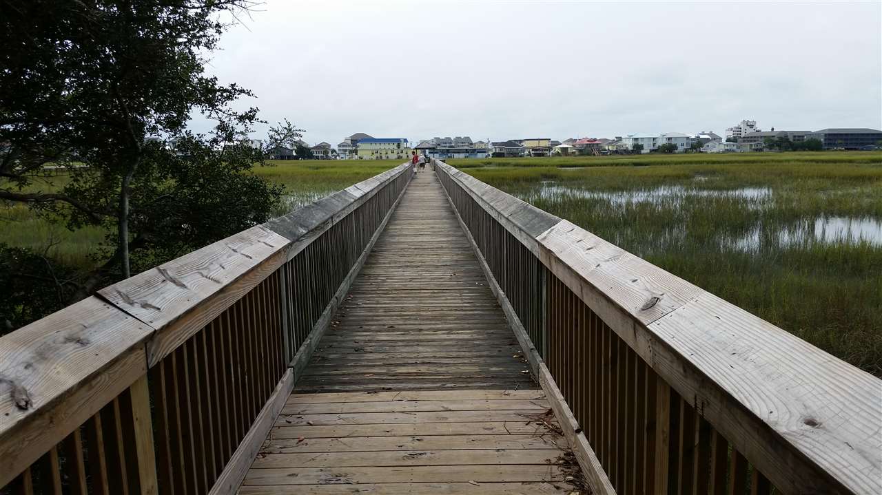 534 Waverly Loop Murrells Inlet, SC 29576 - Photo 8 of 11
