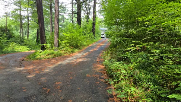 a view of a lush green forest
