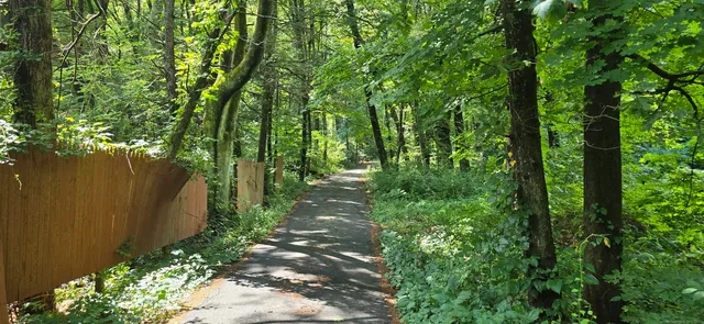 a view of outdoor space and a yard