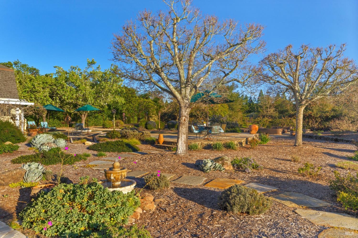 1245 Castle Road Sonoma, CA 95476 - Photo 36 of 48 a view of yard with trees