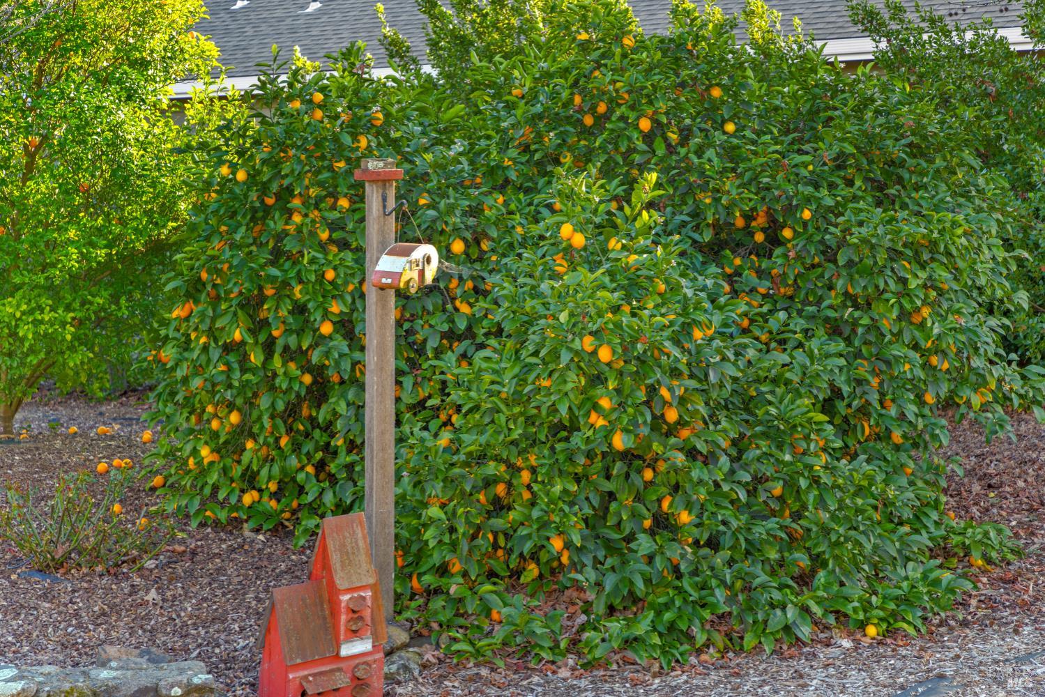 1245 Castle Road Sonoma, CA 95476 - Photo 39 of 48 a street sign on a bunch of trees
