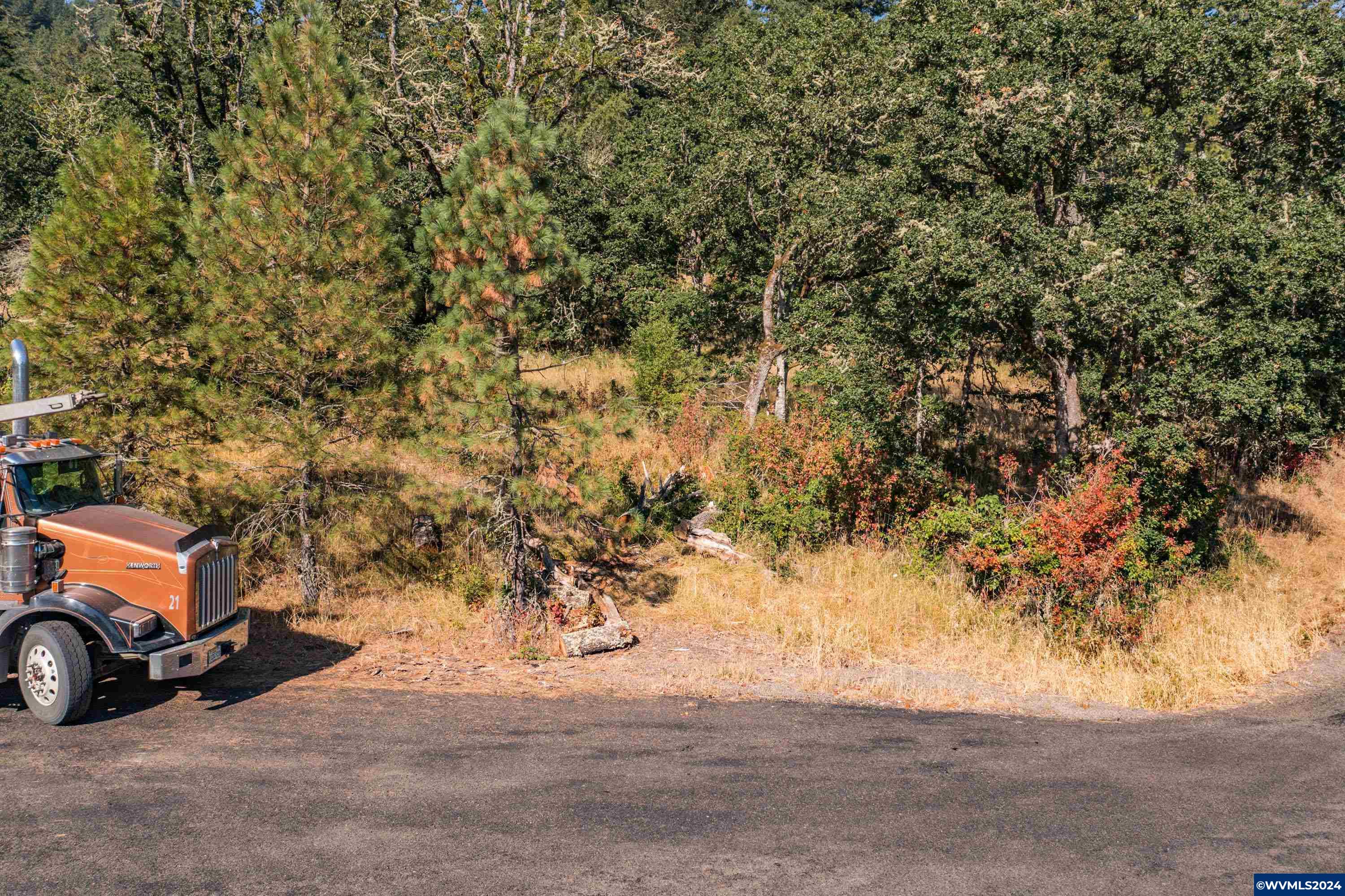 28920 Sheep Head Road Brownsville, OR 97327 - Photo 15 of 32