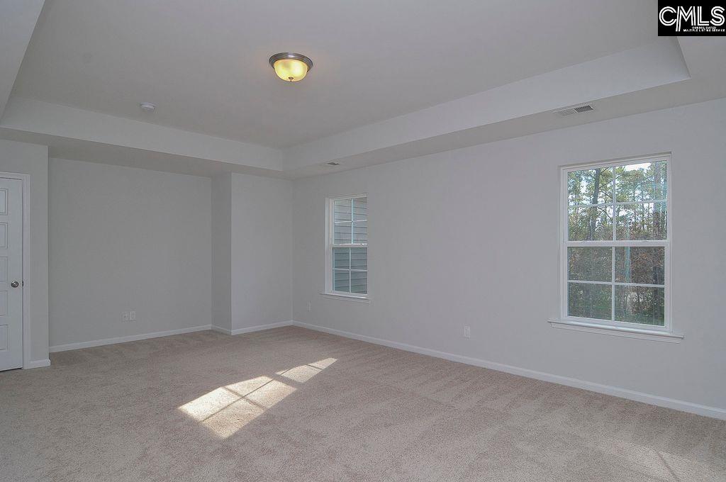 356 Hollow Cove Road Chapin, SC 29036 - Photo 21 of 29