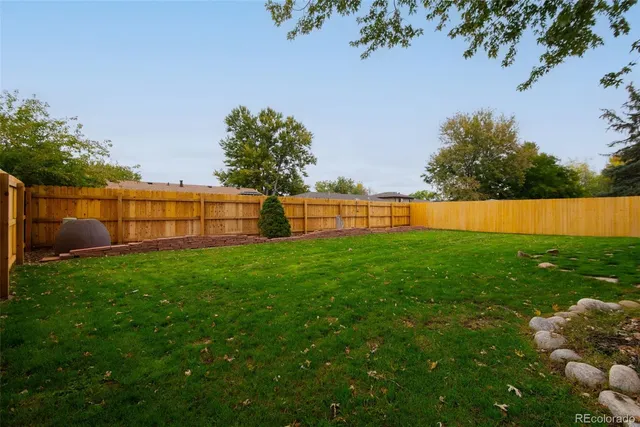 a view of garden with plants and trees