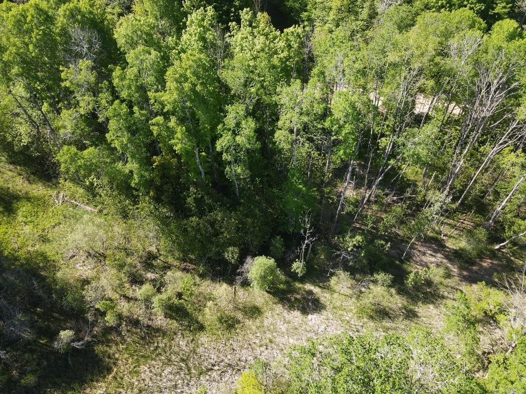 Tbd Pesek Road East Jordan, MI 49727 - Photo 24 of 28
