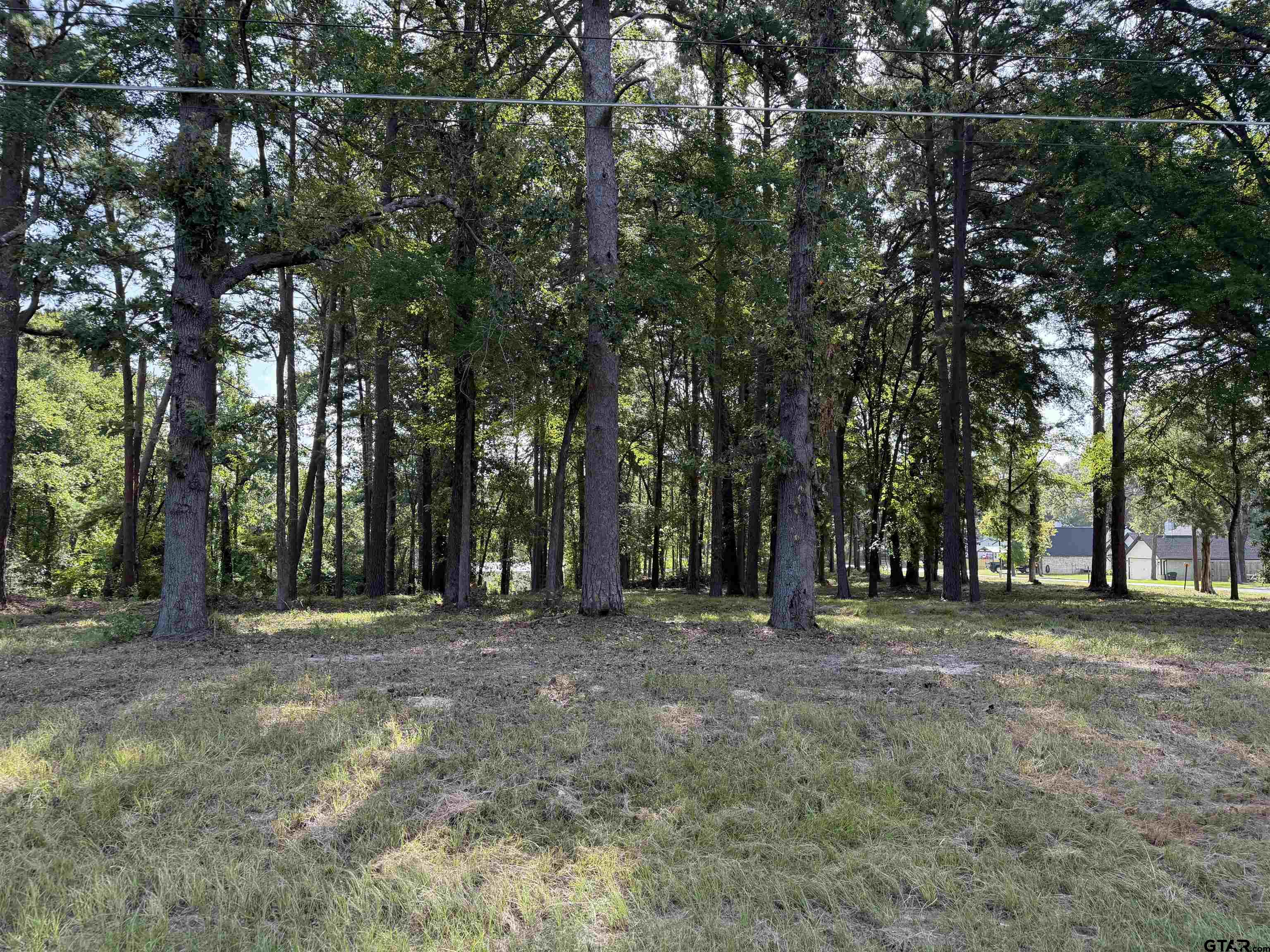 Tbd Tbd Wilson Road Tyler, TX 75707 - Photo 23 of 24 Gallery Image 23