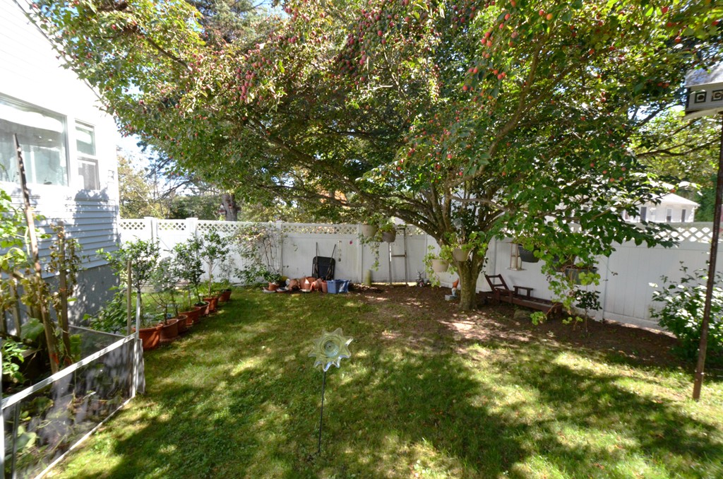 96 Doty Street Waltham, MA 02452 - Photo 14 of 15 a view of a house with a yard