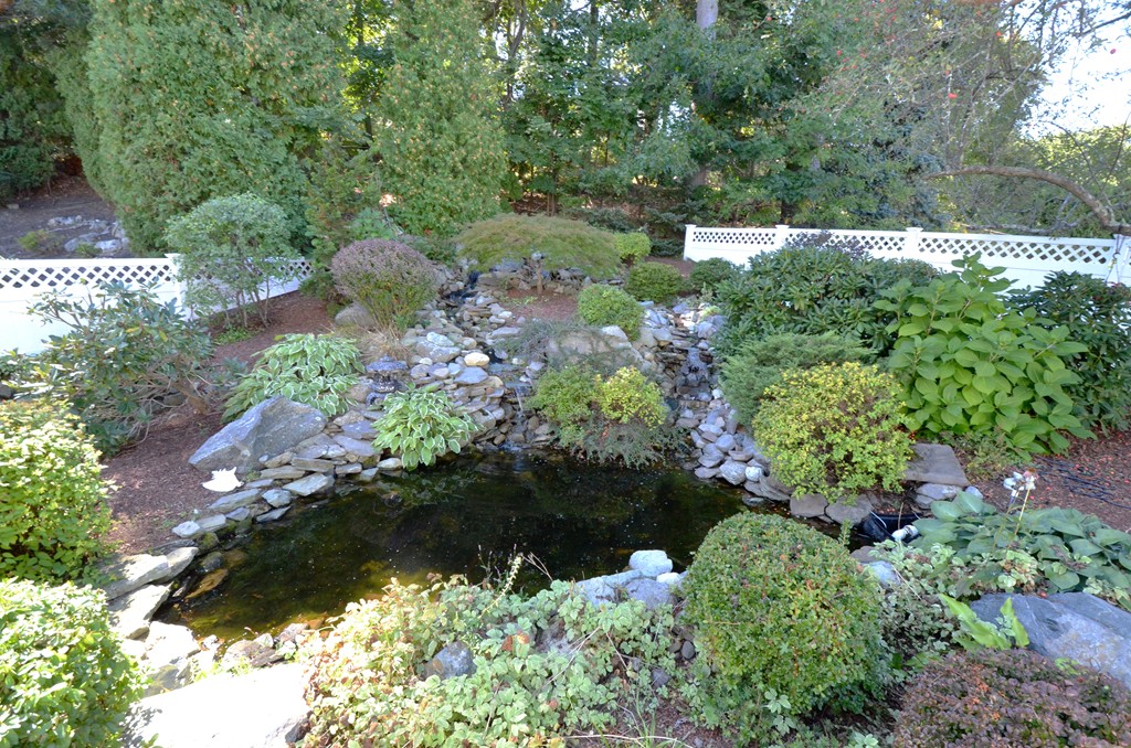 96 Doty Street Waltham, MA 02452 - Photo 15 of 15 a view of a garden with a flower