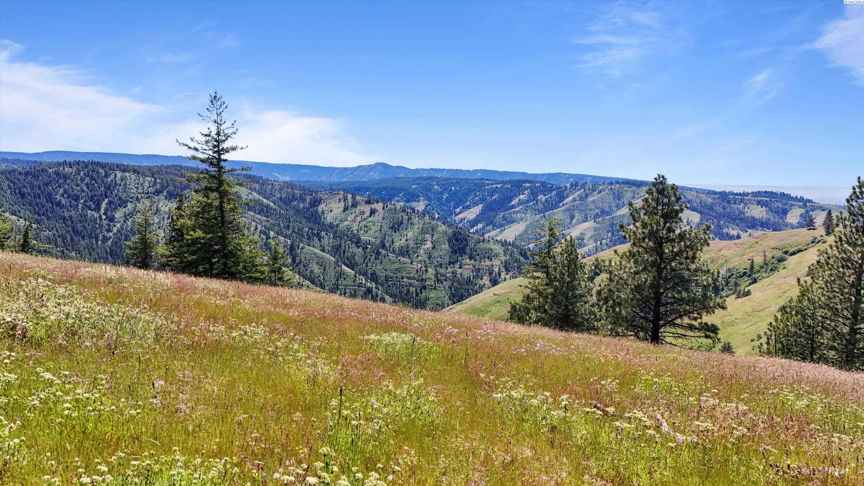 Unk10 Blacksnake Ridge Road Walla Walla, WA 99362 - Photo 23 of 48 Gallery Image 23
