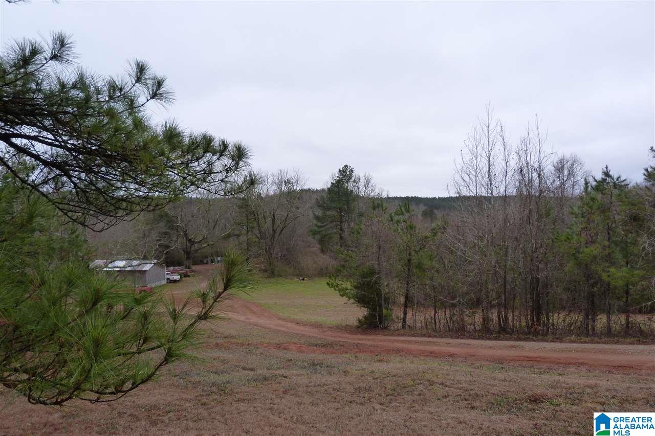 0 Antioch Road, Unit 77 Ashland, AL 36251 - Photo 2 of 3