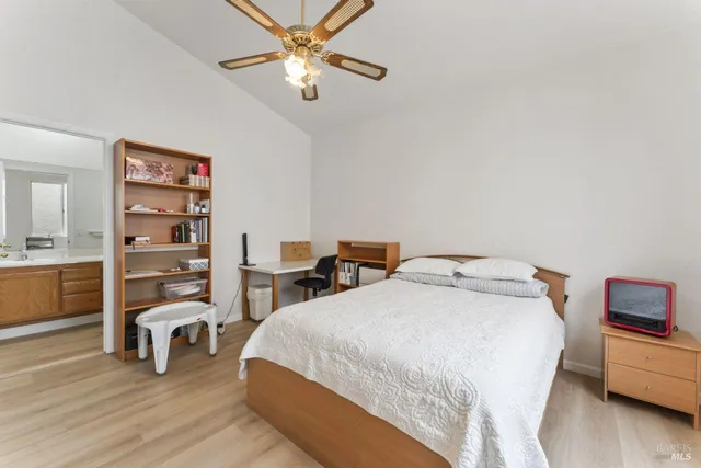 a view of a backyard with plants and tree