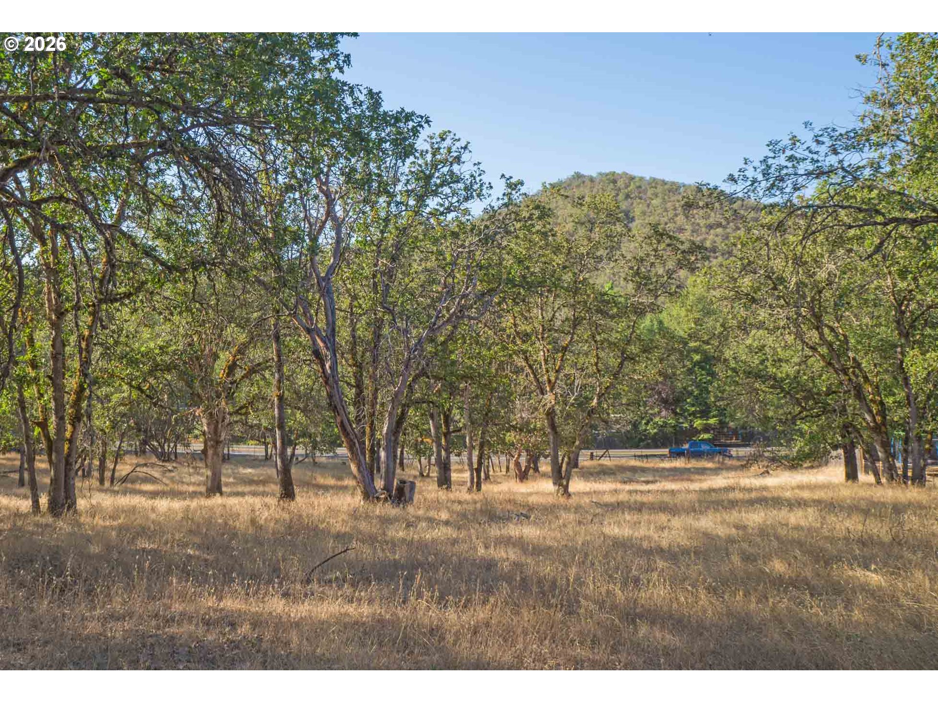 10364 Blackwell Road Central Point, OR 97502 - Photo 4 of 16 Pasture