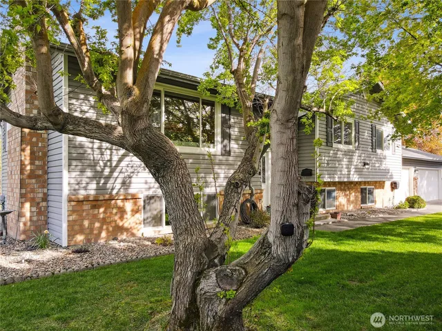 a view of outdoor space yard and patio