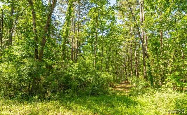 $172,500 | 4117 Highway 21, Grandin, MO 63943