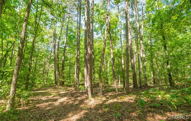 $172,500 | 4117 Highway 21, Grandin, MO 63943