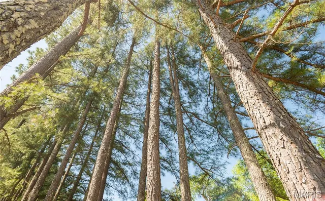 $172,500 | 4117 Highway 21, Grandin, MO 63943