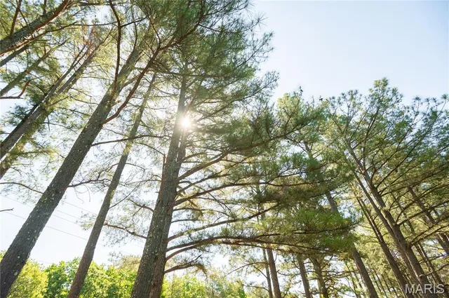 $172,500 | 4117 Highway 21, Grandin, MO 63943