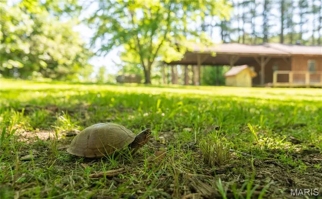 $172,500 | 4117 Highway 21, Grandin, MO 63943