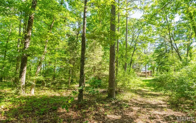 $172,500 | 4117 Highway 21, Grandin, MO 63943