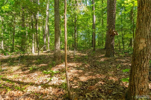 $172,500 | 4117 Highway 21, Grandin, MO 63943