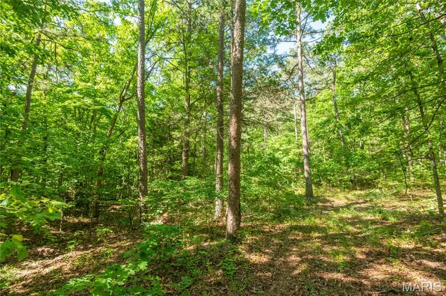 $172,500 | 4117 Highway 21, Grandin, MO 63943