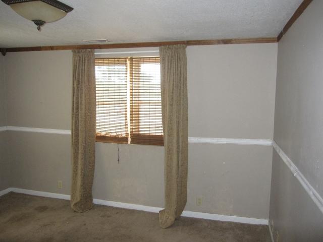 507 South 3rd Street Colona, IL 61241 - Photo 3 of 4 Gallery Image 3