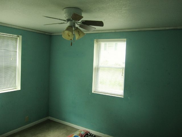 507 South 3rd Street Colona, IL 61241 - Photo 4 of 4 Gallery Image 4
