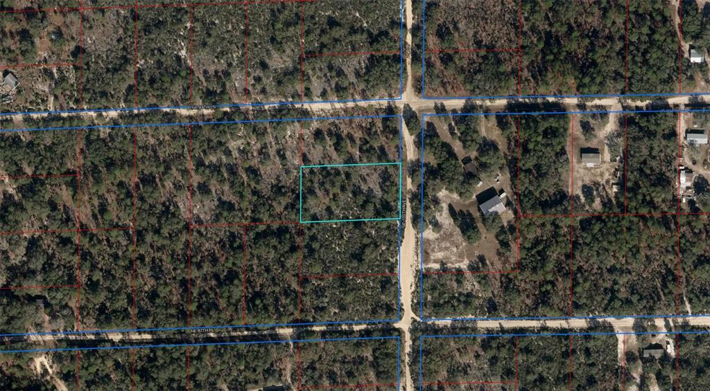 Northeast 100th Avenue Bronson, FL 32621 - Photo 2 of 3