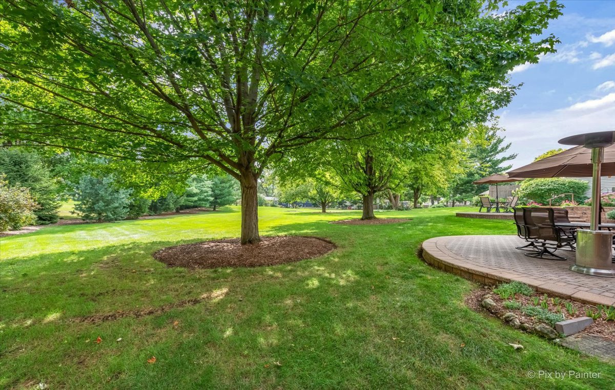 245 Perth Road Cary, IL 60013 - Photo 52 of 61 a view of a garden with trees
