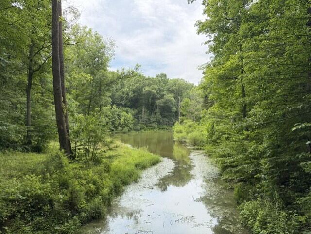 0 Kelly Ridge Road Irvine, KY 40336 - Photo 9 of 39 13
