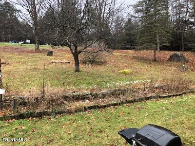 610 East Otis Road Otis, MA 01253 - Photo 2 of 16 Himmen back yard