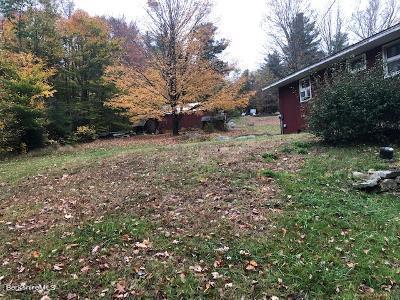 610 East Otis Road Otis, MA 01253 - Photo 15 of 16 Himmen side yard