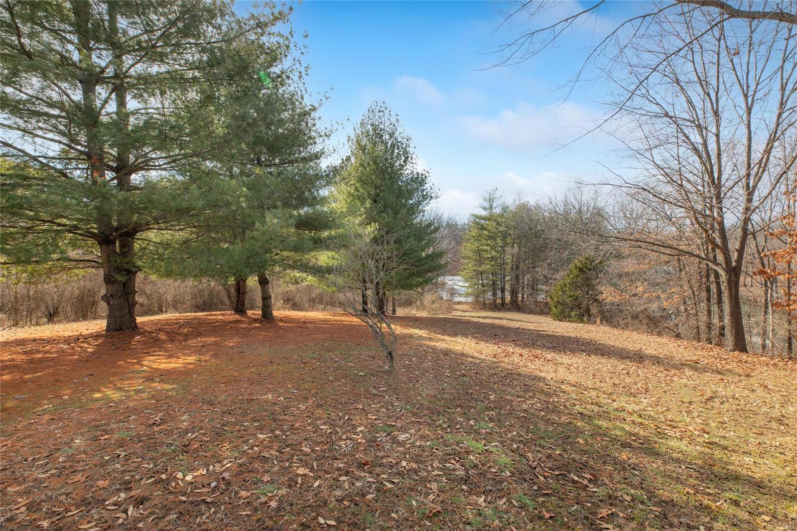 13379 Fessler Road Dow, IL 62022 - Photo 20 of 66