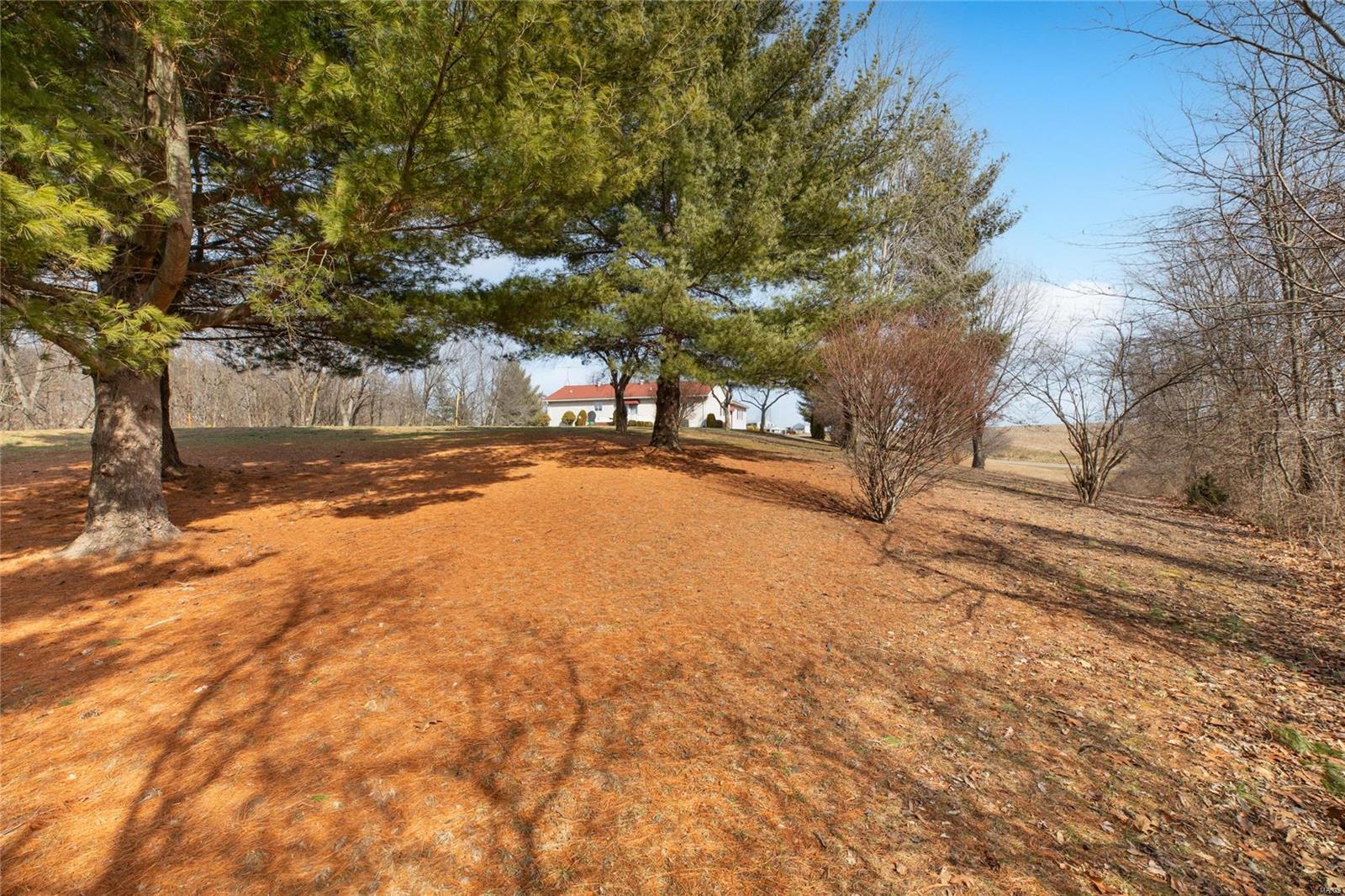 13379 Fessler Road Dow, IL 62022 - Photo 21 of 66