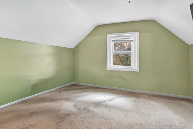 a view of a backyard with plants