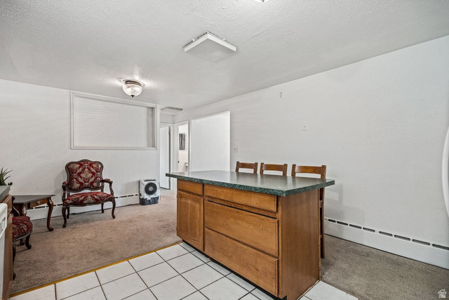 149 West 1600th Street South Mapleton, UT 84664 - Photo 12 of 44 Interior space featuring light colored carpet, a baseboard radiator, light tile patterned floors, a textured ceiling, and a baseboard heating unit