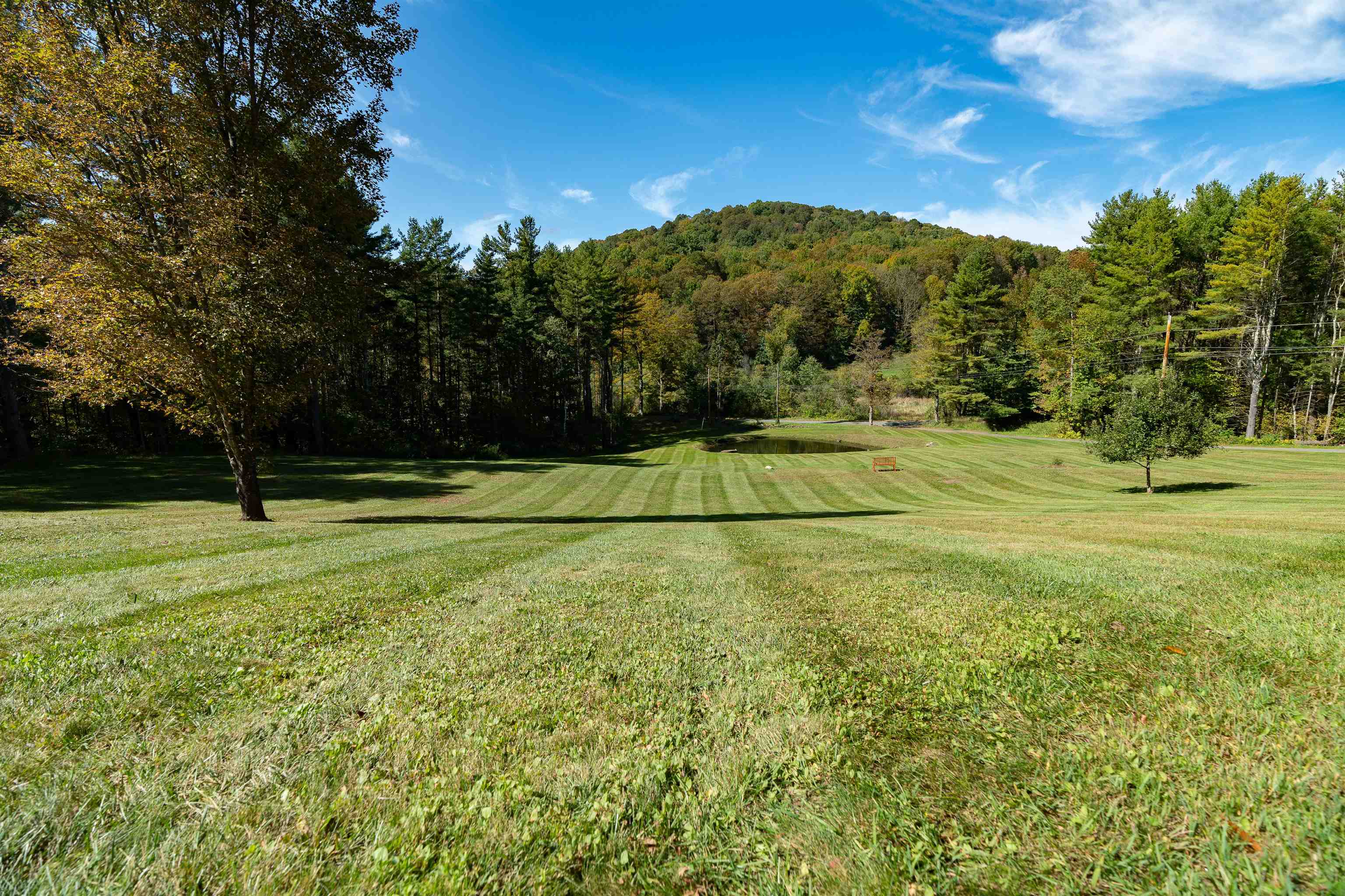 704 Austin Road Woodstock, VT 05091 - Photo 4 of 36