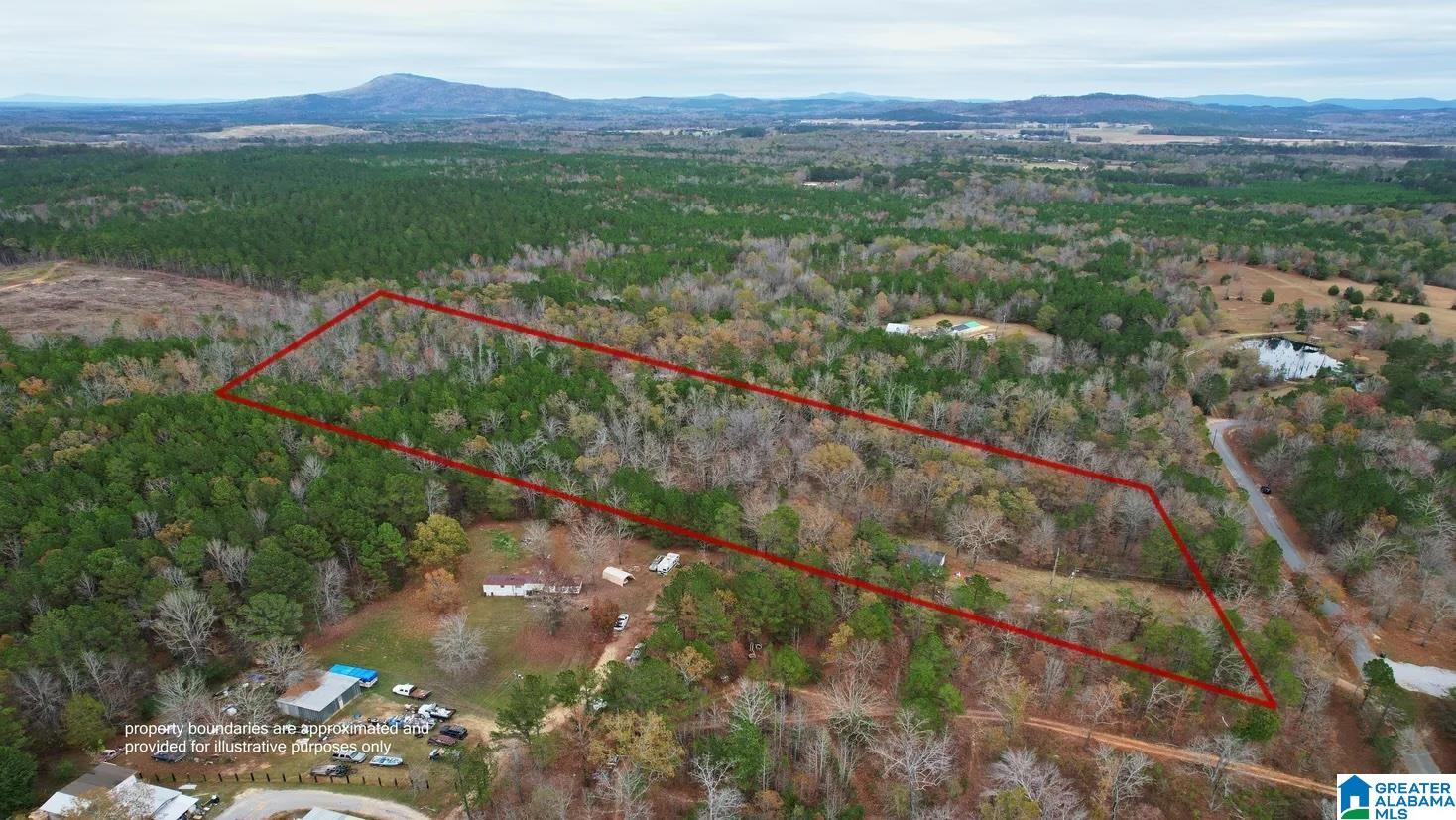 393 Siler Road Piedmont, AL 36272 - Photo 2 of 14
