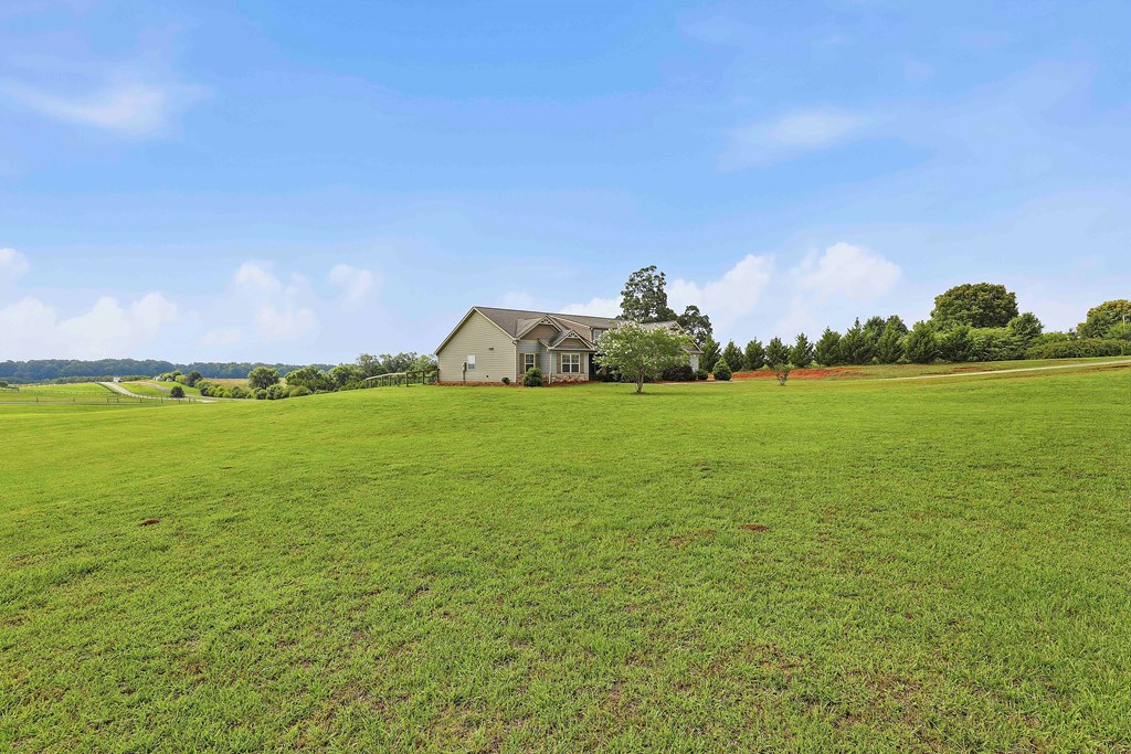 4466 Smokey Road Newnan, GA 30263 - Photo 3 of 44