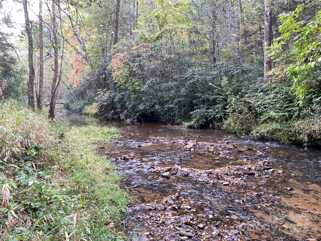 a big yard with lots of green space and plants