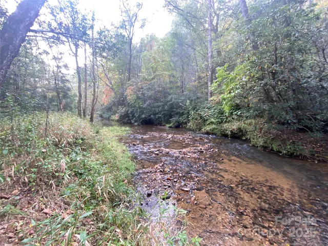 a big yard with lots of green space and plants