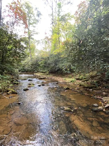 a view of a road with plants and trees