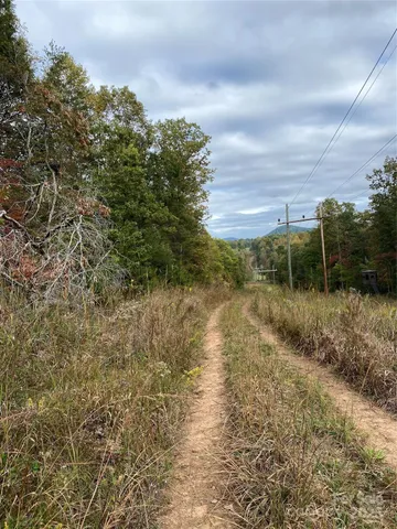 a view of a field with plants and trees